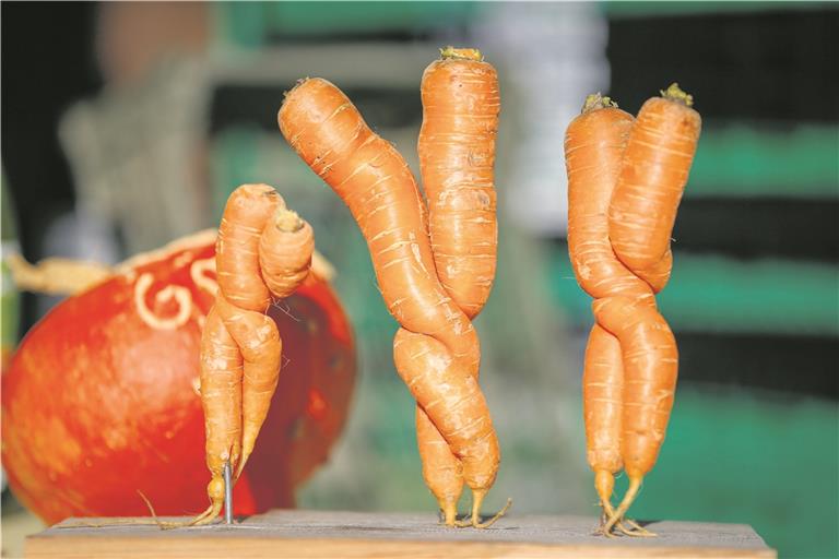 Im Discounter würde man solche kreativ gewachsenen Karotten normalerweise nicht finden. Foto: A. Becher