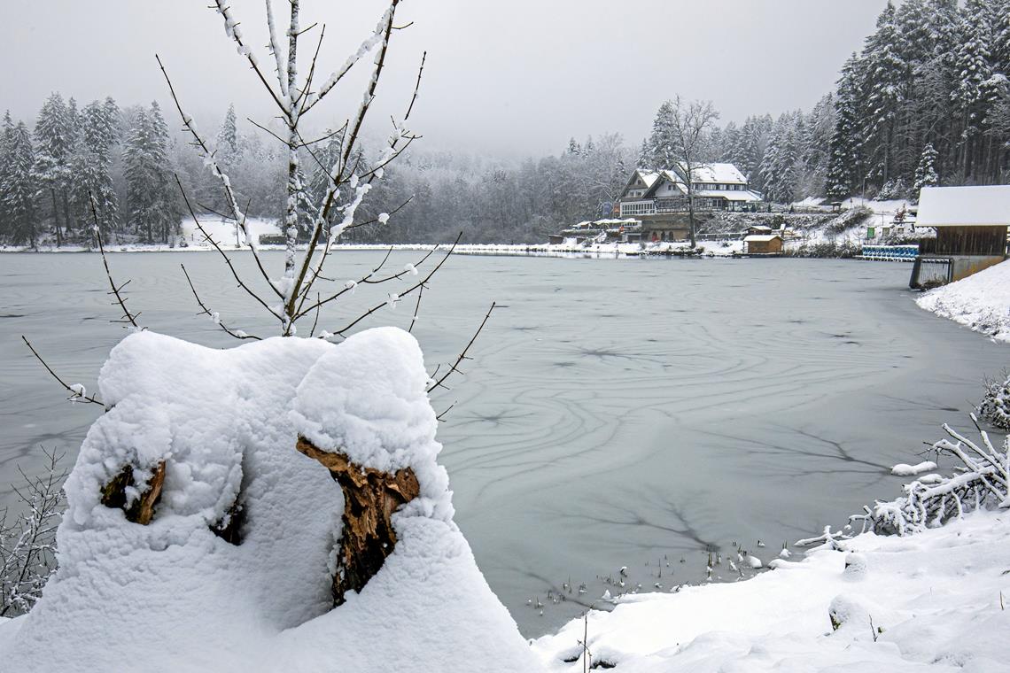 Peta setzt 1000 Euro Belohnung aus Im Ebnisee wurden kürzlich drei tote Hühner gefunden. Die Tierrechtsorganisation Peta setzt nun 1000 für sachdienliche Hinweise aus. Archivfoto: A. Becher
