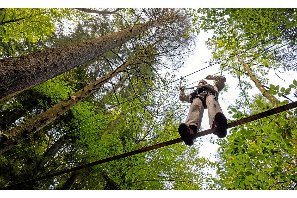 Im Edenbachtal können Mutige auf einer Seilbrücke den Bach überqueren.