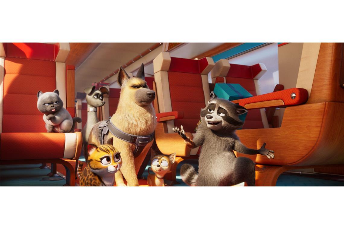 Im Film "Tierisch abgefahren" spielen Tiere in einem Zug die Hauptrolle.