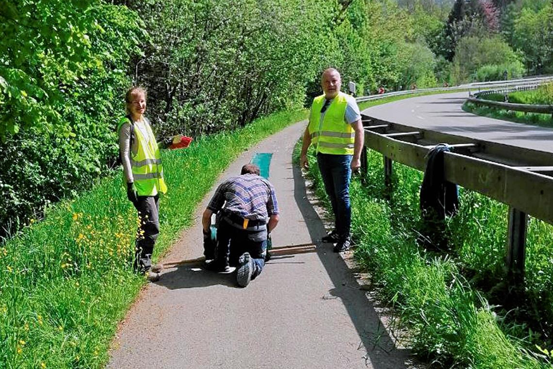 Im Frühjahr wird der Zaun an der Kreisstraße nach Steinbach aufgebaut. Fotos: privat