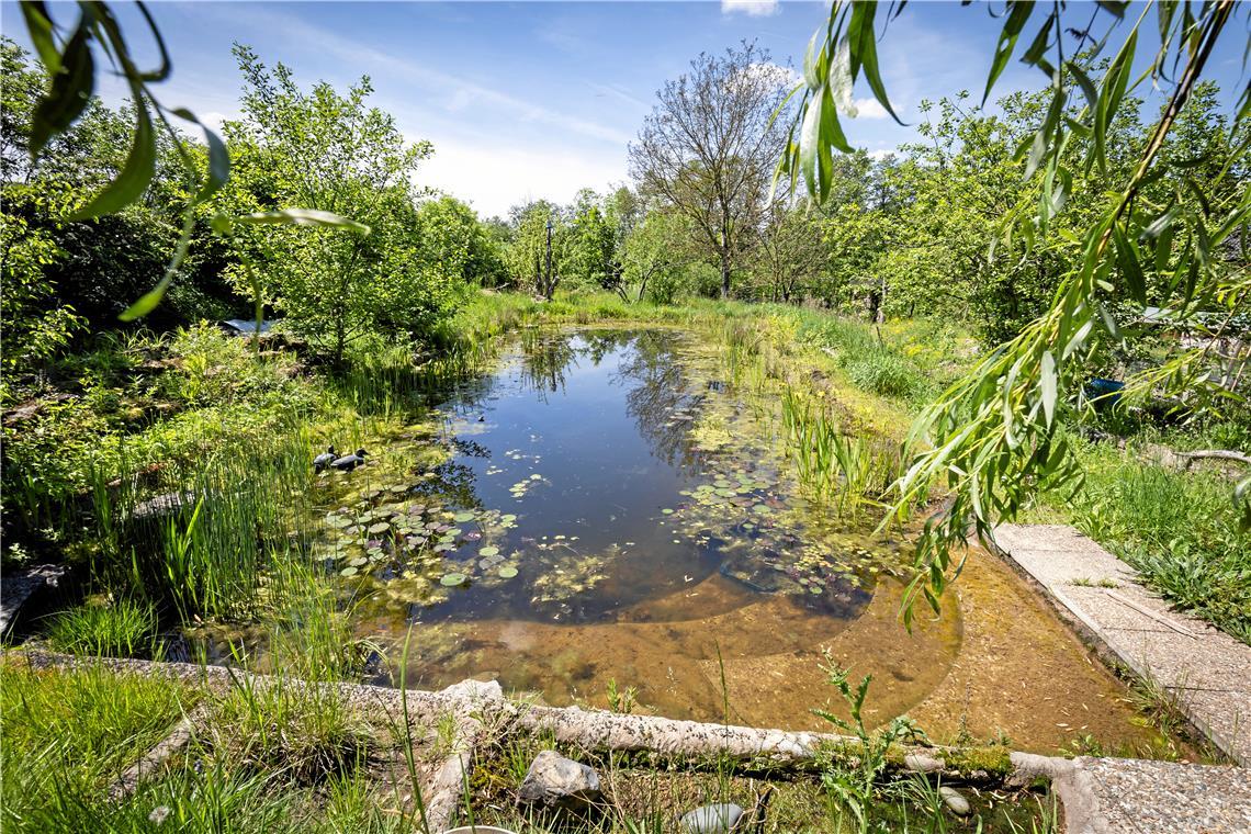 Im Garten der Familie Jung in Unterweissach.