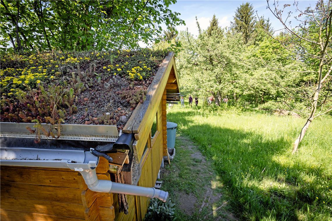 Im Garten der Familie Jung in Unterweissach