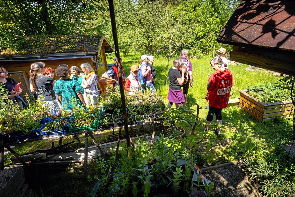 Im Garten der Familie Jung in Unterweissach.