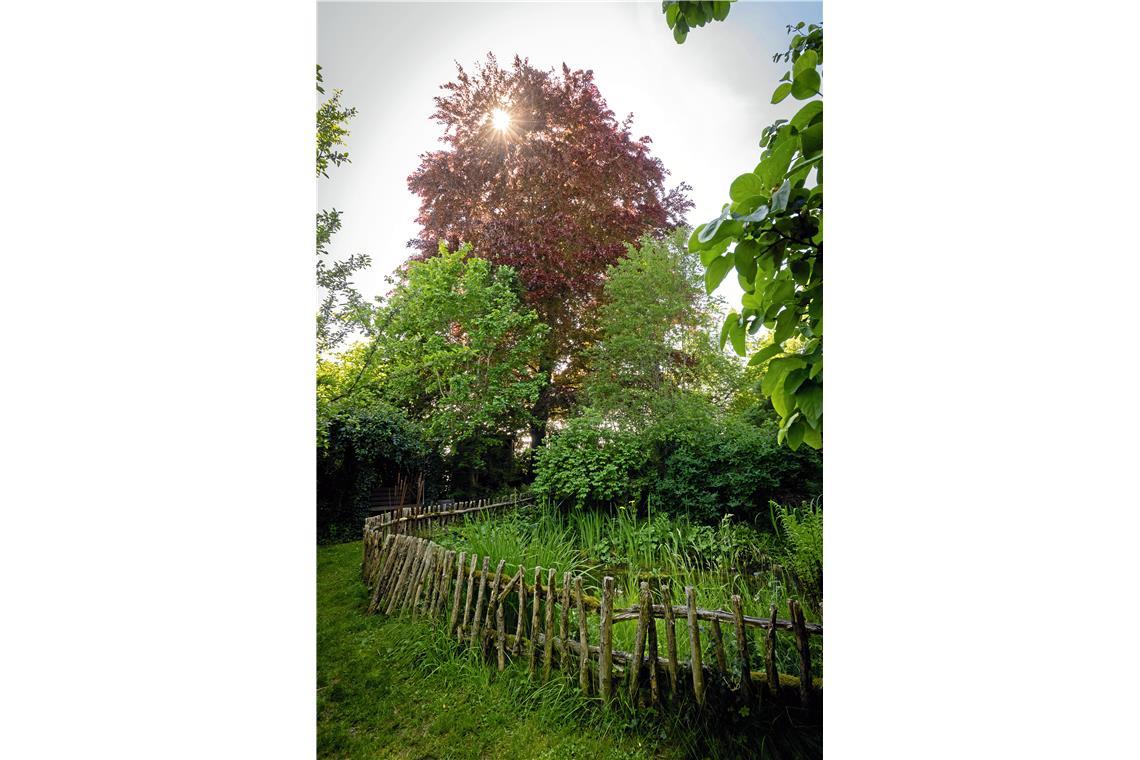 Im Garten von Familie Schopf in Waldrems.
