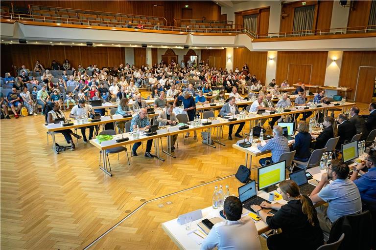 Im Gemeinderat herrschen unterschiedliche Ansichten zu den Ausgaben. Archivfoto: Alexander Becher