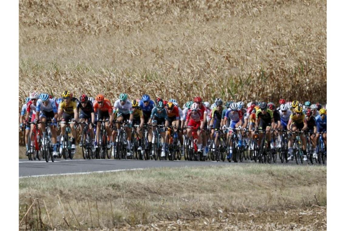 Im Hauptfeld der 12. Etappe Primoz Roglic im Gelben Trikot vorn dabei. Foto: Thibault Camus/AP/dpa