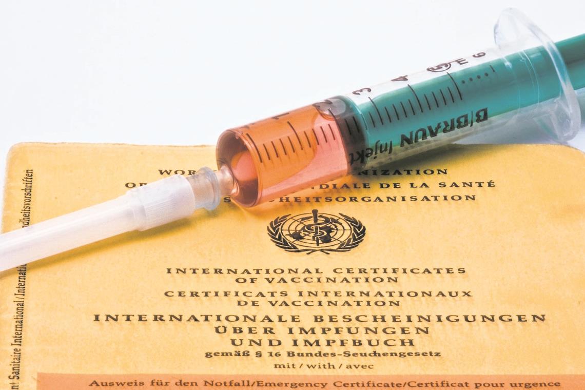 Im Impfbuch wird festgehalten, welche Impfungen vorgenommen wurden. Erklärtes Ziel ist es, Krankheiten wie Masern weltweit zu eliminieren. Foto: A. Morlok