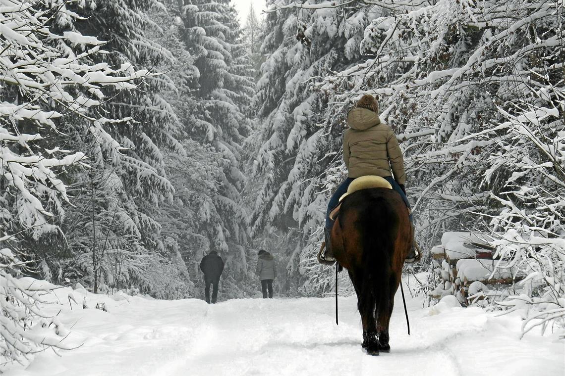 Kein Schnee an den Feiertagen Im Jahr 2014 gab es in Murrhardt zumindest ein weißes Silvester. Aber weiße Weihnachten wird es in diesem Jahr in Backnang und Umgebung nicht geben. Archivfoto: C. Schick