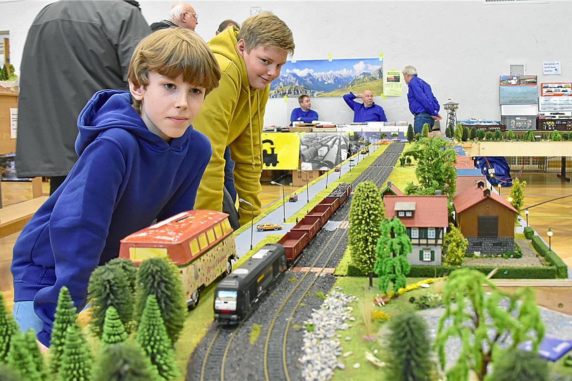 Im Januar haben die Modellbahntage der Backnanger Modellbahner in der Stadthalle stattgefunden. Archivfoto: Tobias Sellmaier