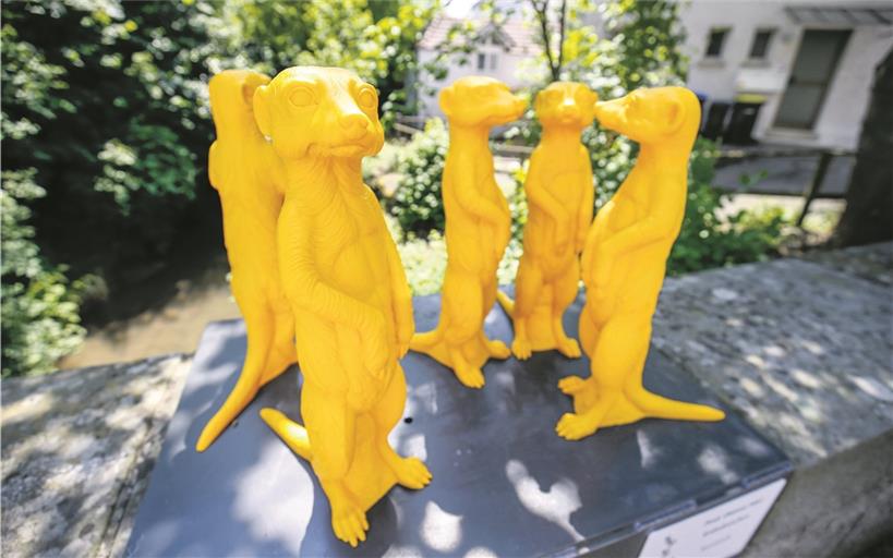 Im Juni waren sie noch zu fünft. Erdmännchen sind Familientiere, sie wollen nicht alleine sein. Doch zwei von ihnen sind noch nicht aufgetaucht.