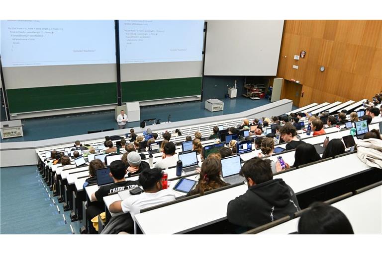 Im Keller eines Hörsaalzentrums der Universität Tübingen wurde eine chilenischen Einsiedlerspinne entdeckt. (Symbolbild)