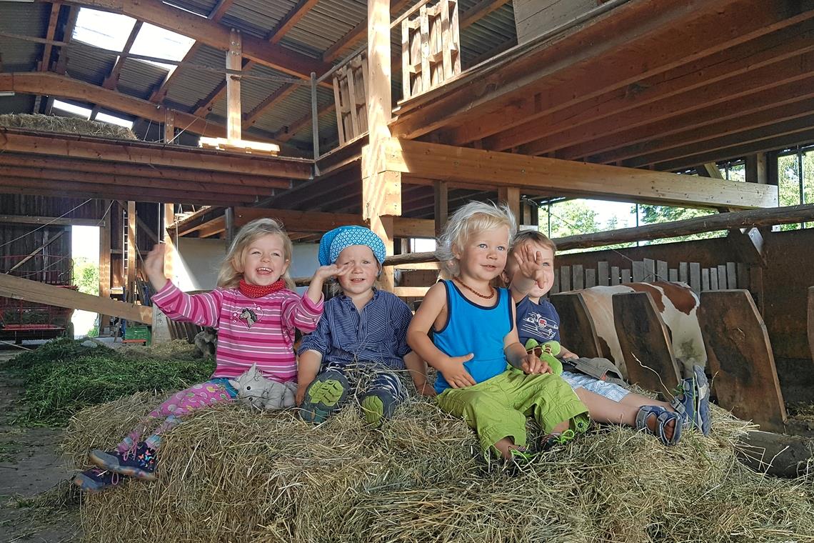 Erste Schritte auf dem Weg zum Hofkindi Im Kuhstall oder auf Wiesen und Feldern: Beim geplanten Hofkindergarten dürfen die Kinder fernab von Hektik und Leistungsansprüchen allsinnliche Erfahrungen in der Natur machen. Sie sollen ihre Neugier und Experimentierfreude ausleben können. Foto: privat