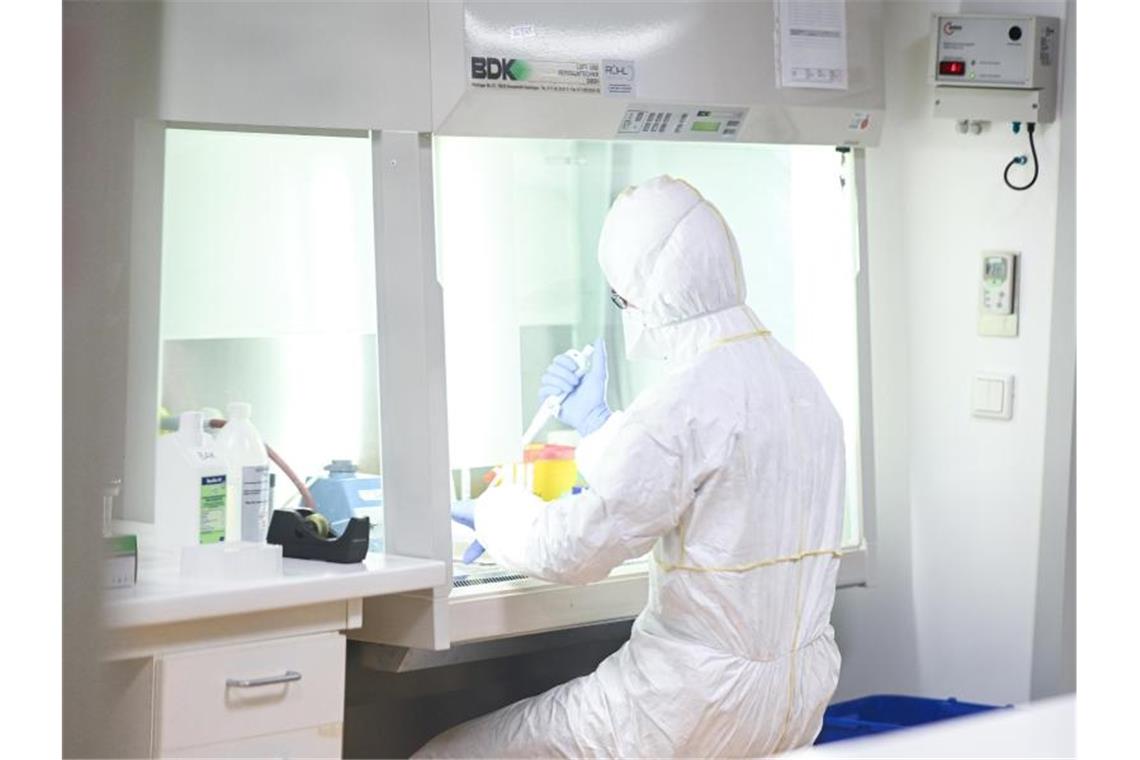 Im Labor werden Virus-Proben getestet. Foto: Felix Kästle/dpa