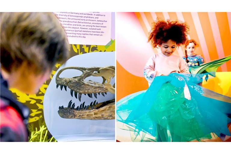 Fünf Museen in Stuttgart und der Umgebung, die sich mit Kindern lohnen Im Löwentormuseum gibt’s eine neue Ausstellung für große und kleine Dino-Fans. Und im Jungen Schloss geht es bunt zu.