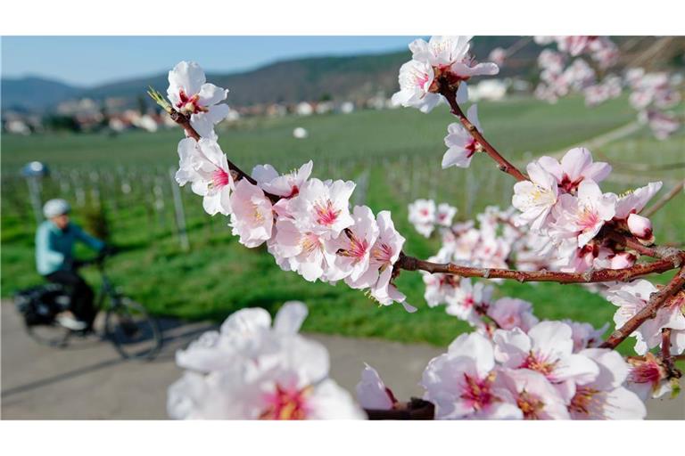 Im März lockte das Wetter bereits zu vielen Aktivitäten ins Freie. (Archivbild)