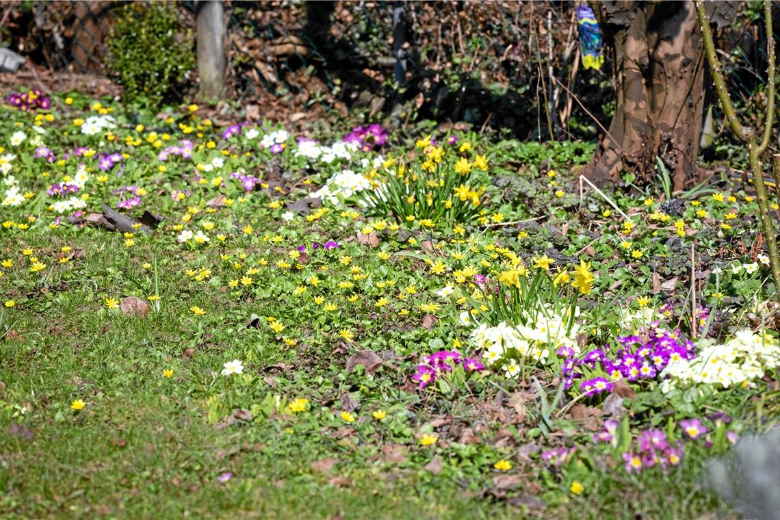Viel Sonne und zu wenig Niederschlag