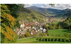 Im malerischen Ambiente von Glottertal im Südschwarzwald waren der Polizei zufolge Randalierer am Werk. (Symbolbild)