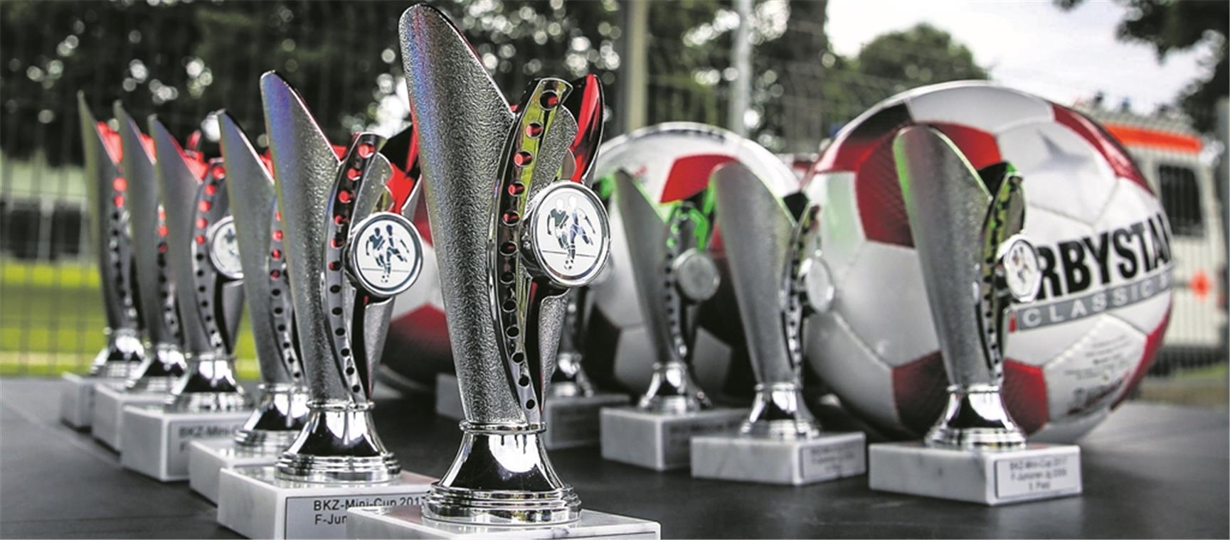 Im Mittelpunkt des zweitägigen BKZ-Mini-Cups für rund 500 Jungen und Mädchen: Der Fußball und die Siegerpokale, um die beim SV Allmersbach in vier Altersklassen gekämpft wird. Foto: A. Becher