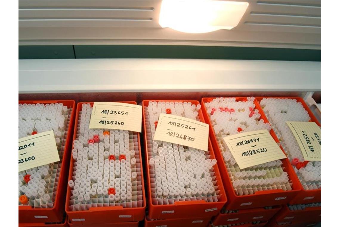 Im Molekularbiologischen Institut für Virologie am Universitätsklinikum Leipzig liegen Serenproben in einer Kühlbox. Foto: Waltraud Grubitzsch/dpa-Zentralbild/dpa