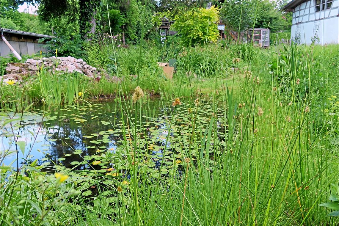 Im Naturnaher-Garten-Wettbewerb wurde der Garten von Harald Schlichenmaier mit dem ersten Preis ausgezeichnet. Foto: Stadt Backnang