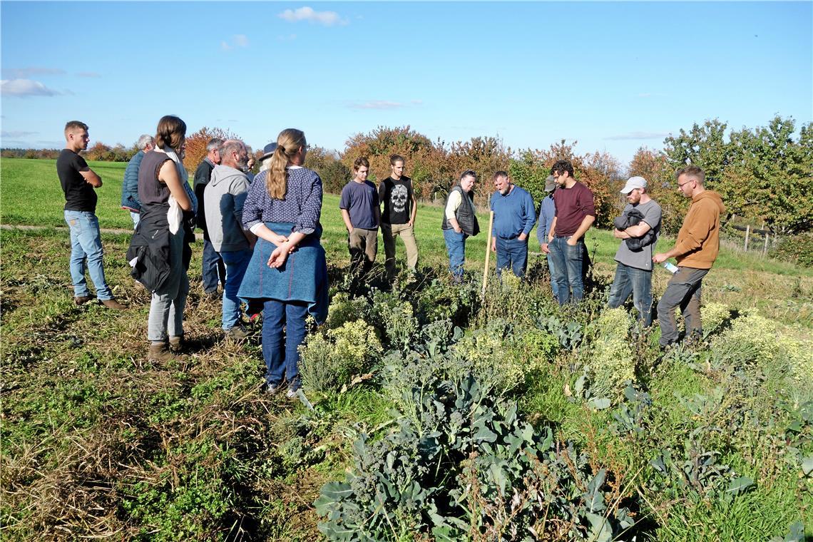 Im Naturpark gibt es verschiedene Veranstaltungen. Symbolfoto: Naturpark Schwäbisch-Fränkischer Wald