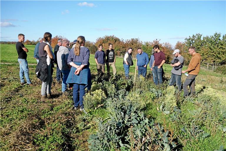 Im Naturpark gibt es verschiedene Veranstaltungen. Symbolfoto: Naturpark Schwäbisch-Fränkischer Wald