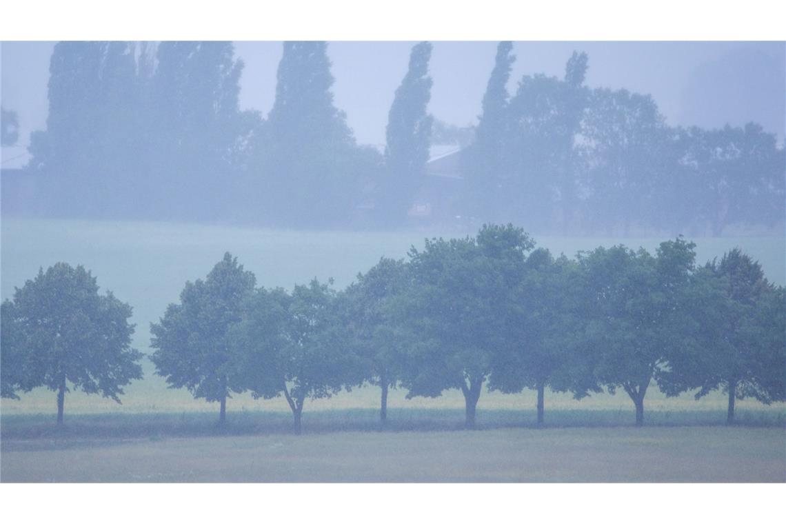 Im Nordosten Deutschlands wird heftiger Regen erwartet. (Archivbild)