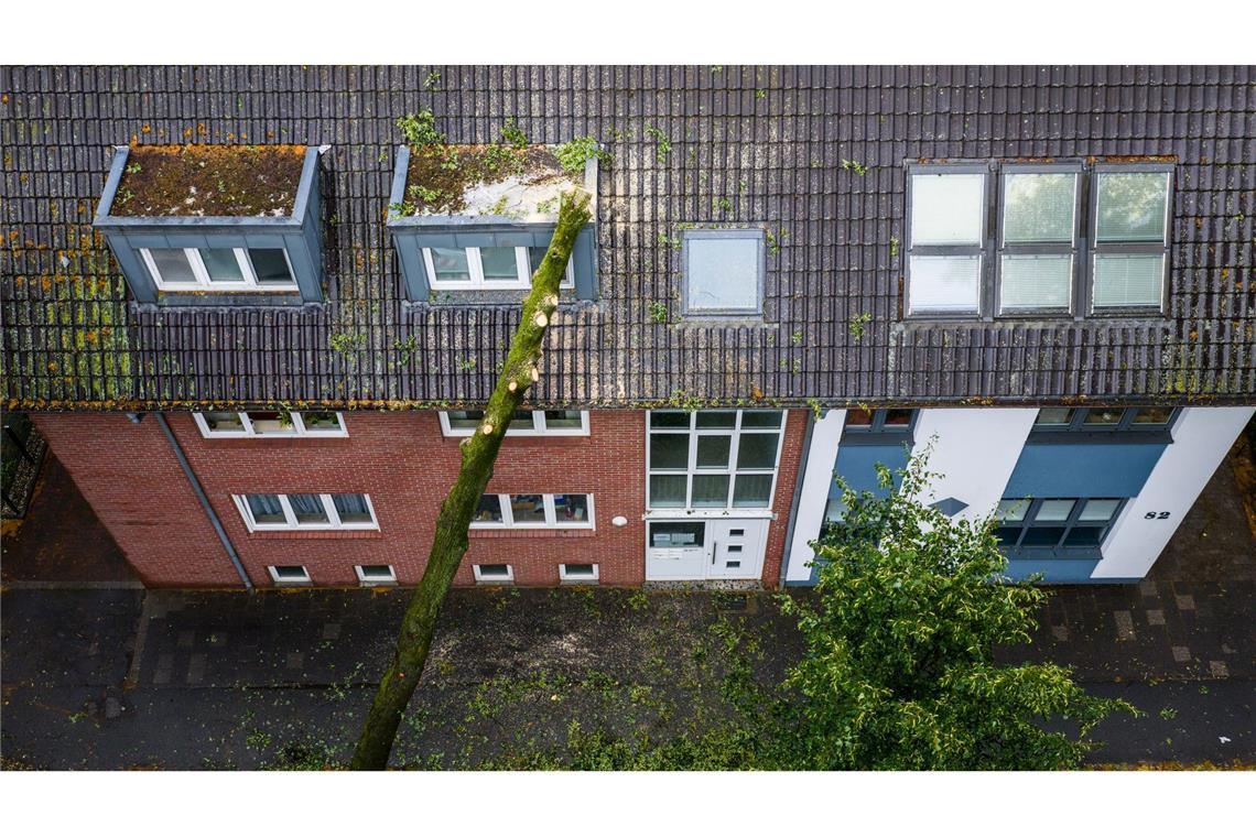Im Nordwesten stürzten wegen der starken Winde viele Bäume um.