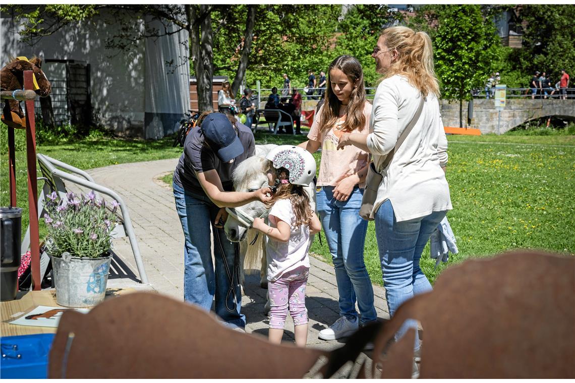 Im Ochsengarten wird Ponyreiten angeboten. 