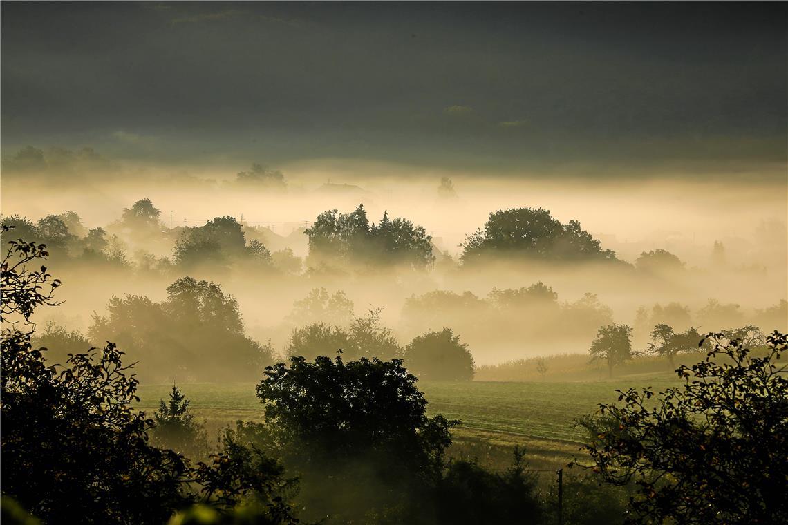 Oktoberwetter: Viel Regen und wenig Sonne Im Oktober hat sich der Sommer endgültig verabschiedet, die nebelreichen Herbsttage haben begonnen. Foto: Alexander Becher