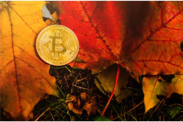 Im Oktober sprechen viele Bitcoin-Fans vom „Uptober“. Warum dieser Monat für die Kryptowährung eine besondere Rolle spielt, erfahren Sie hier.