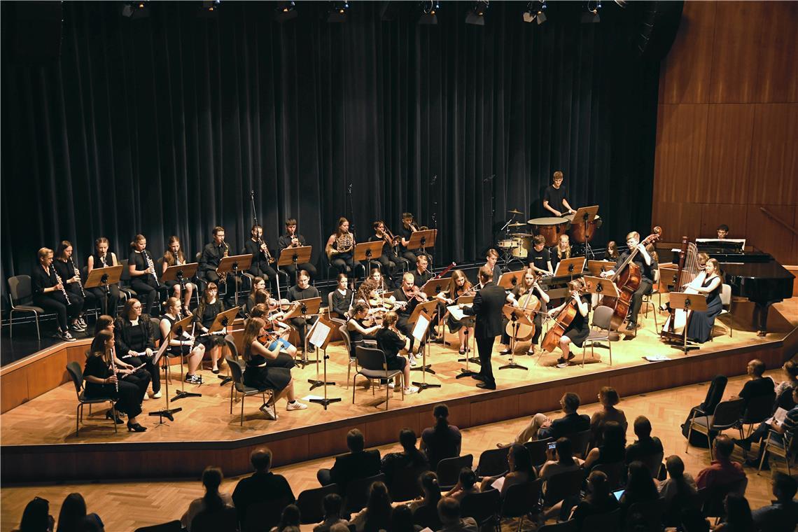 „Beim Musizieren im Orchester lernt man viel dazu“ Im Orchester zu spielen, etwa bei einem Konzert im Bürgerhaus, ist eine ganz eigene Erfahrung für Musikschüler. Foto: privat
