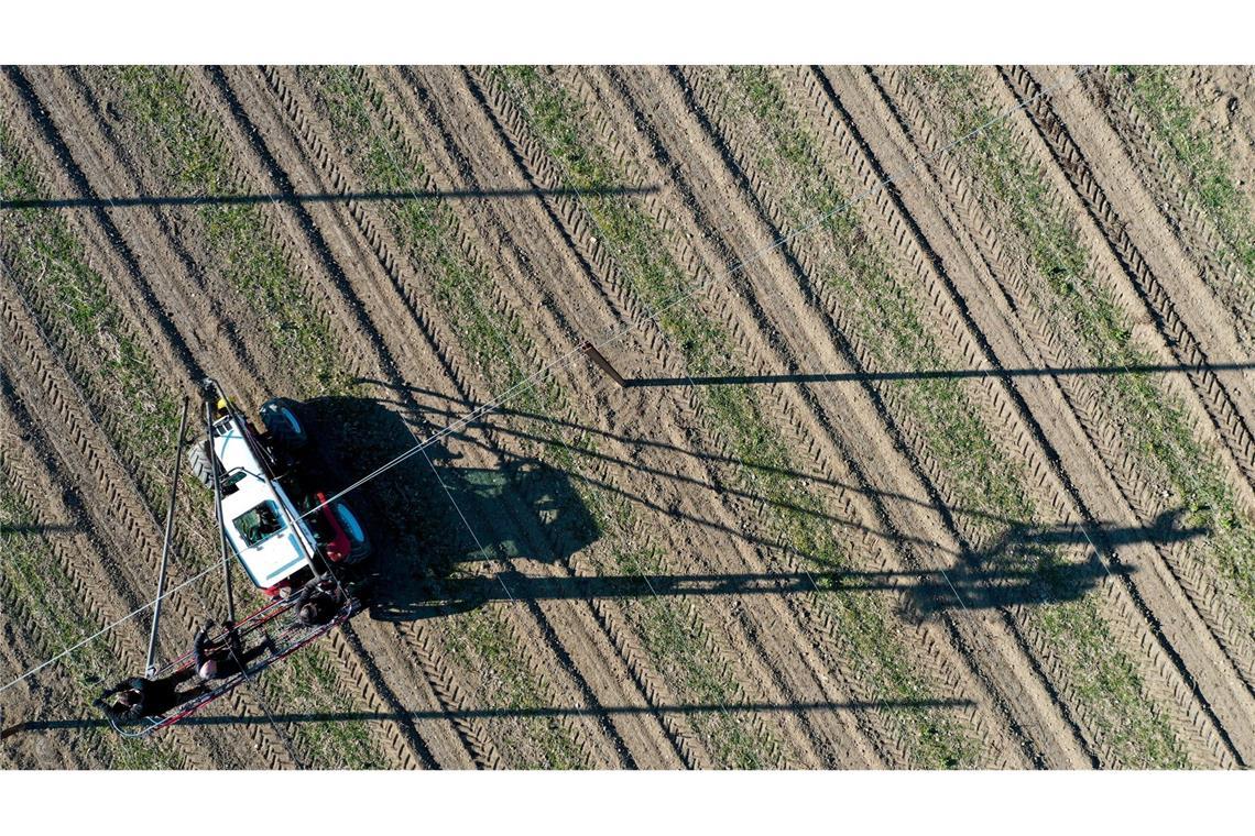 Streit unter Erntehelfern eskaliert Im Ortenaukreis kam es zu einem Streit zwischen Erntehelfern. (Symbolbild)