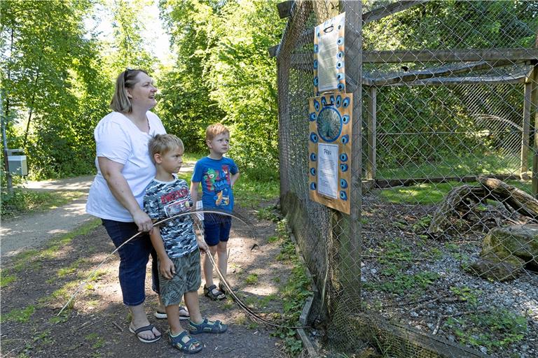 Im Pfauengehege gibt es drei kleine Küken zu bestaunen. Matti und Ben haben außerdem Federn gefunden, die sie mit nach Hause nehmen durften. Foto: J. Fiedler