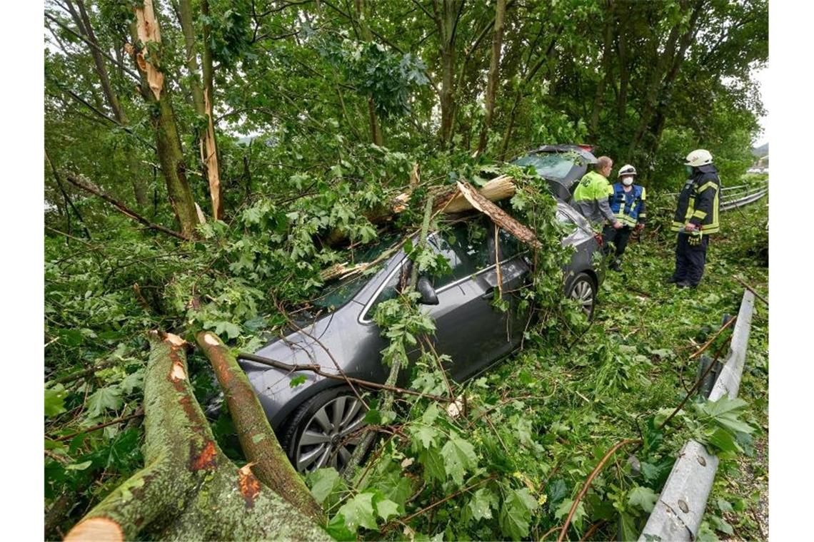 Auch das Wochenende bringt Blitz, Donner - und Sonne Im rheinland-pfälzischen Braubach krachte ein Baum auf ein geparktes Auto. Foto: Thomas Frey/dpa