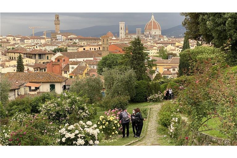 Im Rosengarten von Florenz.