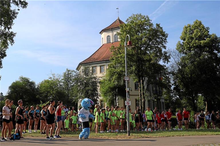 Im Schlossgarten in Oppenweiler ist aufgrund des Turn-Events des Turnverbands Rems-Murr ausnahmsweise richtig viel los. Foto: Alexander Hornauer