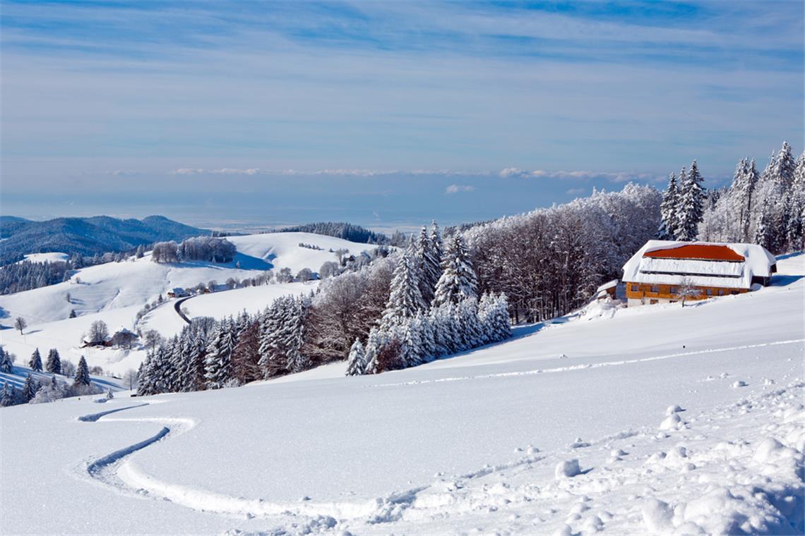 Im Schwarzwald gibt es wieder viel Neuschnee.