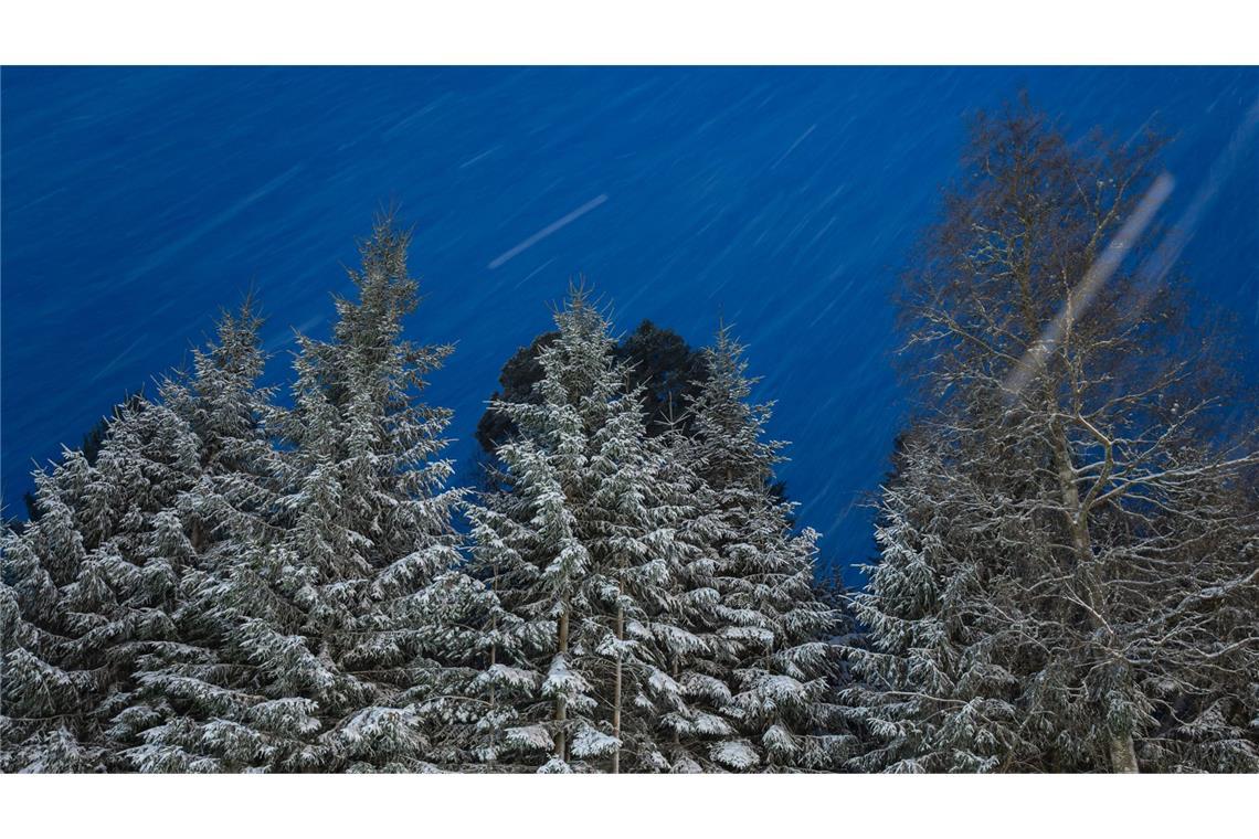 Im Schwarzwald schneite es in der Nacht.
