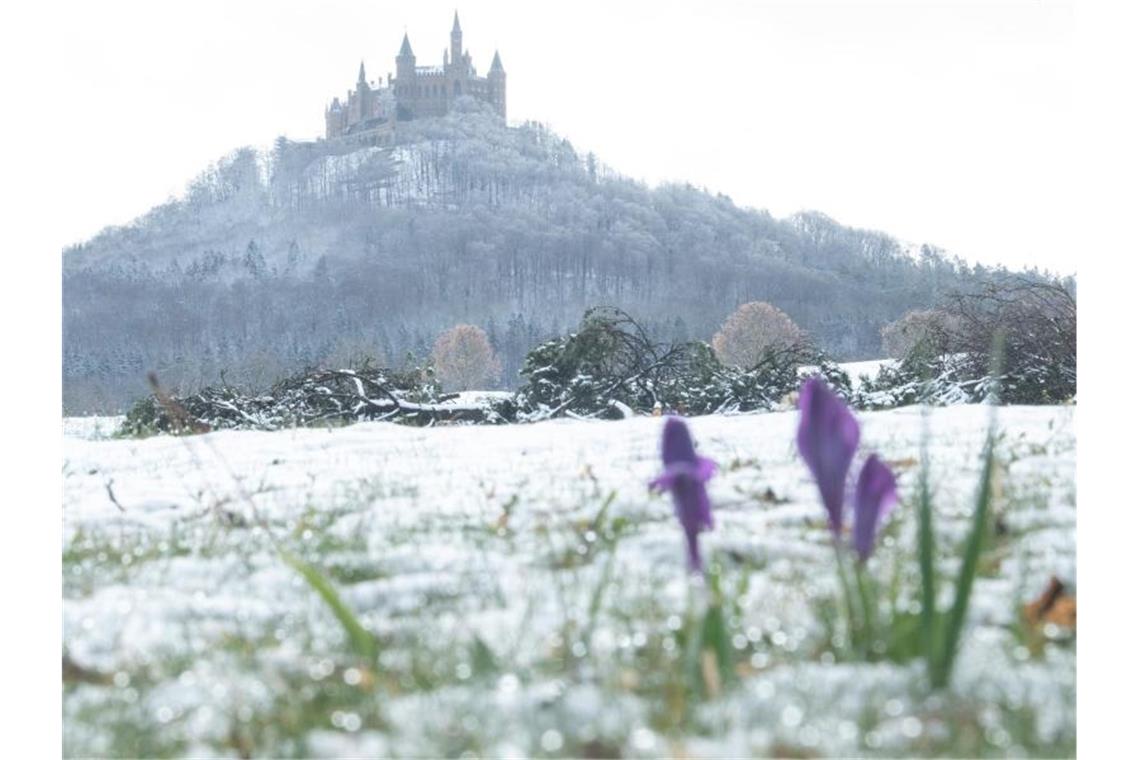 Im Süden könnte es noch einmal winterlich werden - wie hier auf der Schwäbischen Alb nahe dem Schloss Hohenzollern. Foto: Sebastian Gollnow/dpa