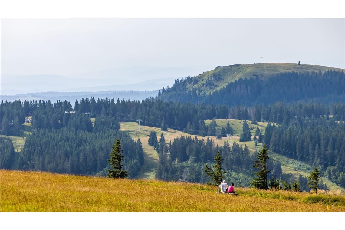 Im südlichen Schwarzwald, etwa auf dem Feldberg, lebt der seltene Badische Riesenregenwurm. (Archivbild)