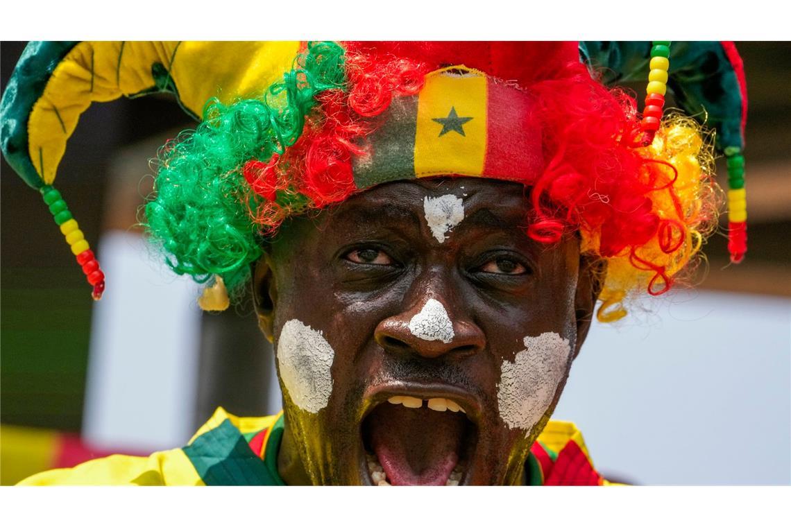 Im vergangenen Jahr musste der Afrika-Cup wegen der Regenzeit verschoben werden - nun hat das wichtigste Fußball-Turnier Afrikas in der Elfenbeinküste begonnen. Viele Fans jubeln am ersten Spieltag, wie dieser Mann heute beim Spiel Senegal gegen Gambia.