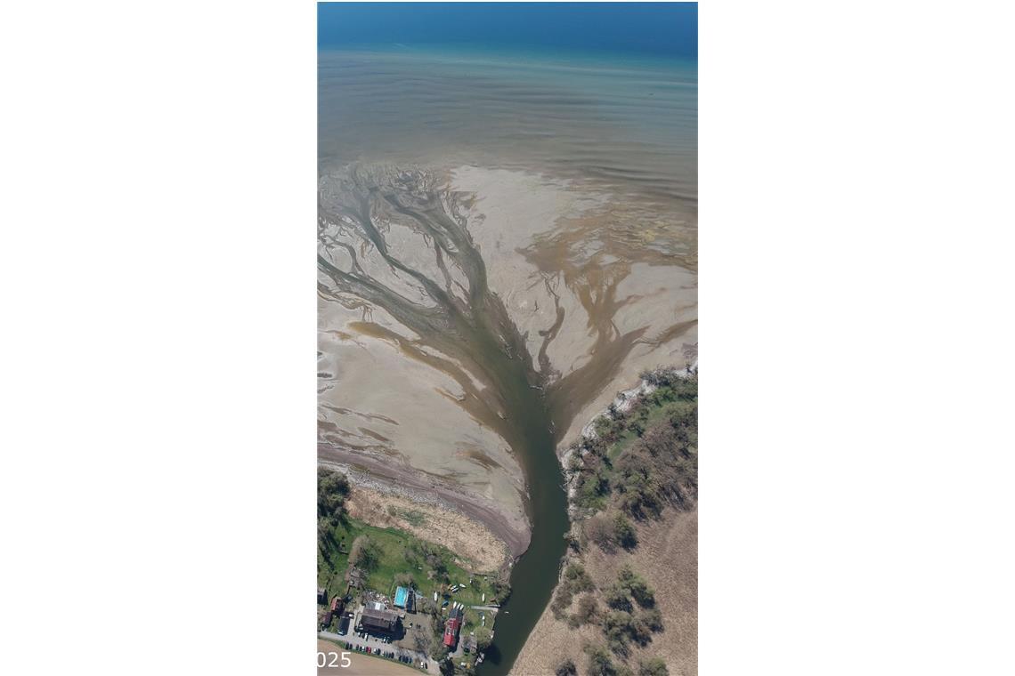 Der Bodensee lädt zum Wattwandern Im vergangenen Jahr war die Schusse bei Eriskirch noch ein reißender Fluss.
