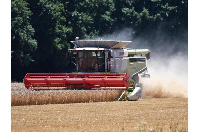 Im Vergleich zur „Missernte“ im vergangenen Jahr stieg das Ertragsniveau der Bauern wieder - aber nur leicht. Foto: Henning Kaiser
