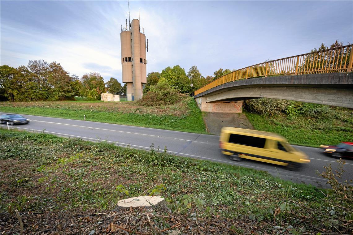Rodungsarbeiten für den Ausbau der B14 Im Vorbeifahren fallen viele Baumstümpfe auf. Foto: Alexander Becher