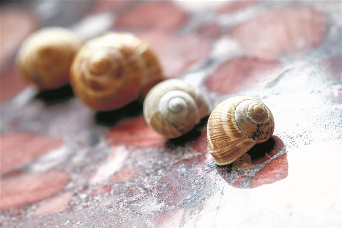 Im Schneckentempo auf der Überholspur