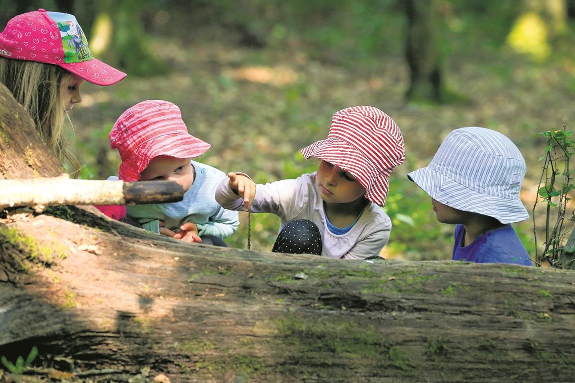 Im Wald kommt keine Langeweile auf: Auch ohne Spielzeug können sich die Kinder beschäftigen und lernen dabei eine Menge über die Natur. Foto: A. Becher