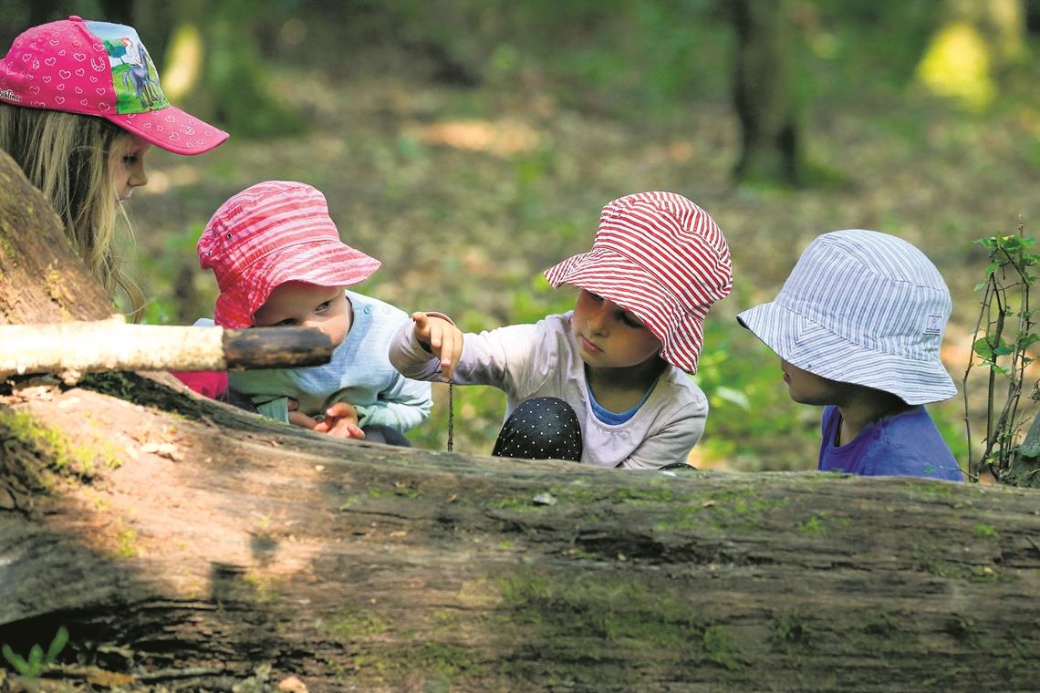 Die Natur liefert das Spielzeug