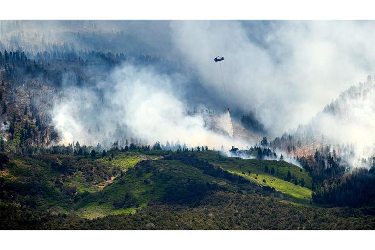 Im Westen der USA kämpfen Feuerwehrleute gegen zahlreiche Brände an.